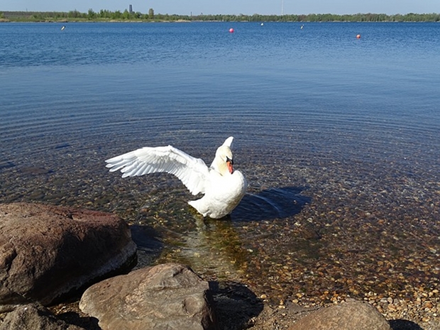 Cospudener See Leipzig