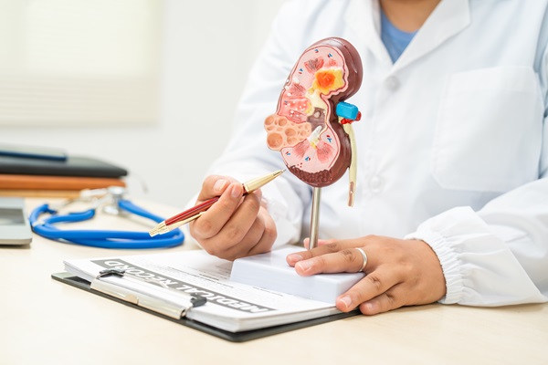nephrologe