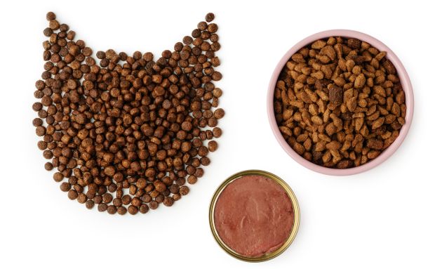 Katzenfutter Check auf Inhaltsstoffe