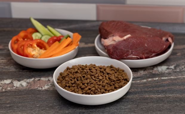 Verschiedene Hundefutter im Test